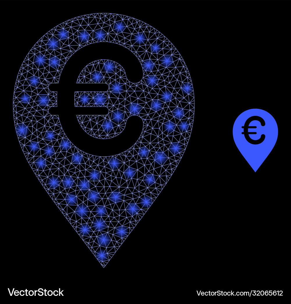 Euro map marker - bright web net with light spots Vector Image