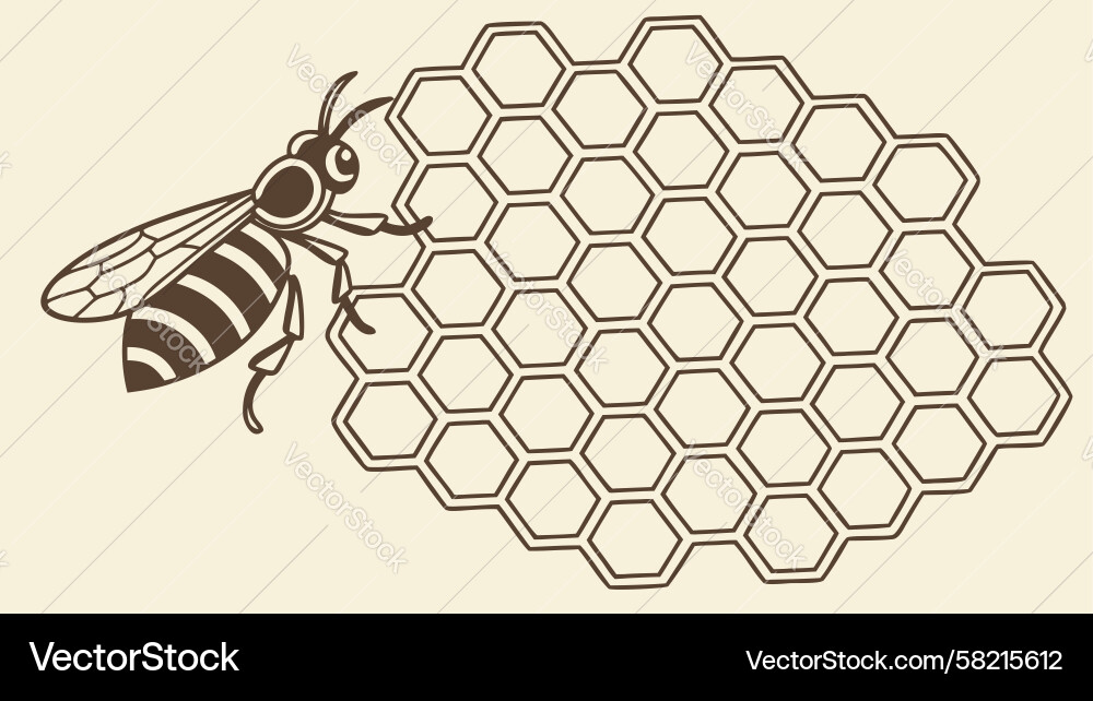 Honeycomb Pattern with Bee Vector Image