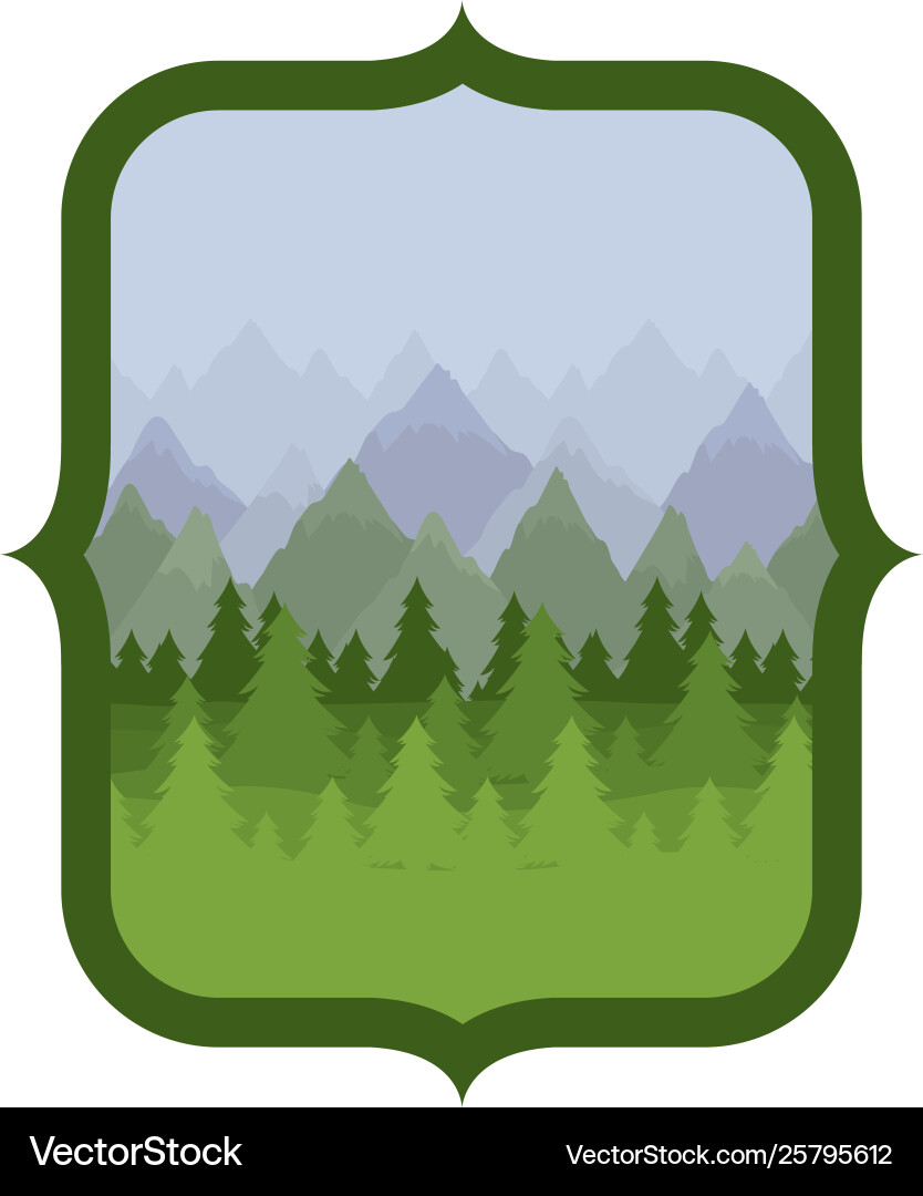 Isolated pine trees inside frame design Vector Image