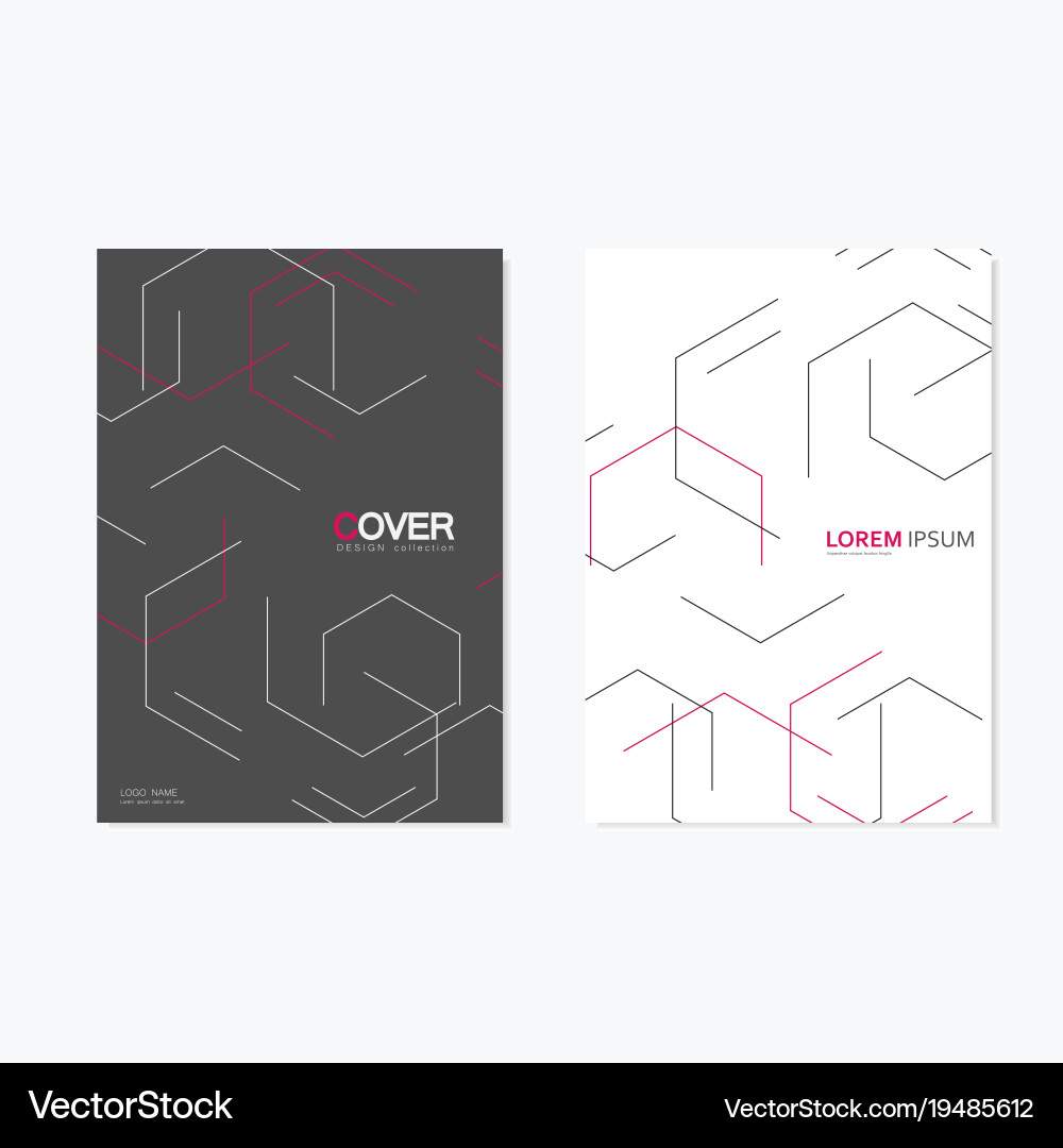 Modern stylish texture with linear hexagonal grid Vector Image