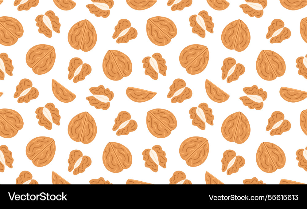 Walnut seamless pattern nuts and seeds background Walnut seamless pattern nuts and seeds background vector image