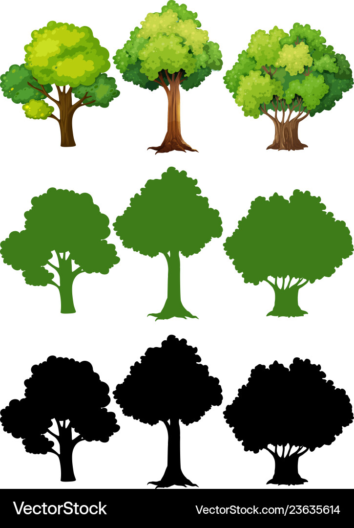 Set of different tree Vector Image