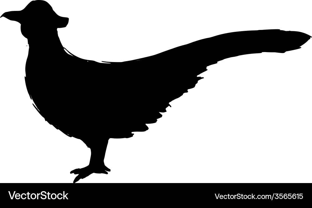 Pheasant Silhouette Vector Image