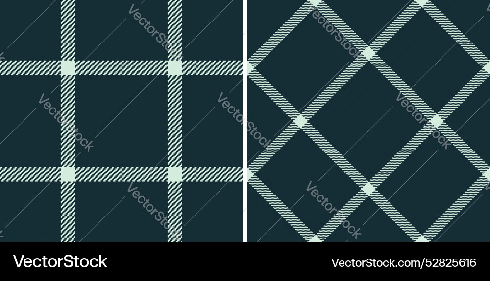 Background check pattern of textile tartan Background check pattern of textile tartan Vector Image