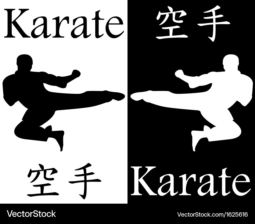 Dynamic Karate Jump Kick Vector Image