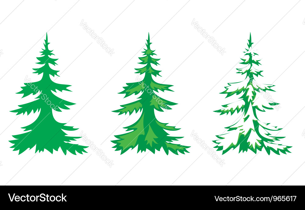 Three Fir Trees Vector Image