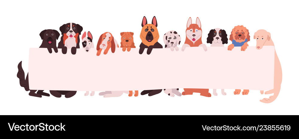 Group of adorable dogs different breeds holding Group of adorable dogs different breeds holding vector image