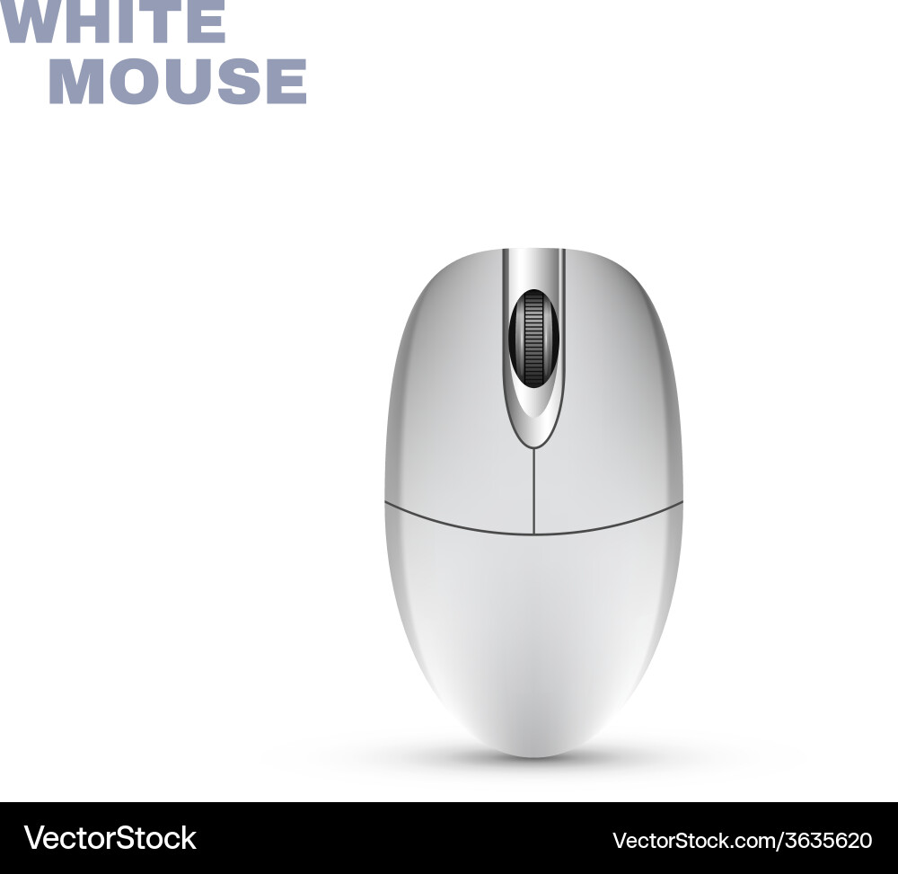 Modern Computer Mouse on White Background vector image