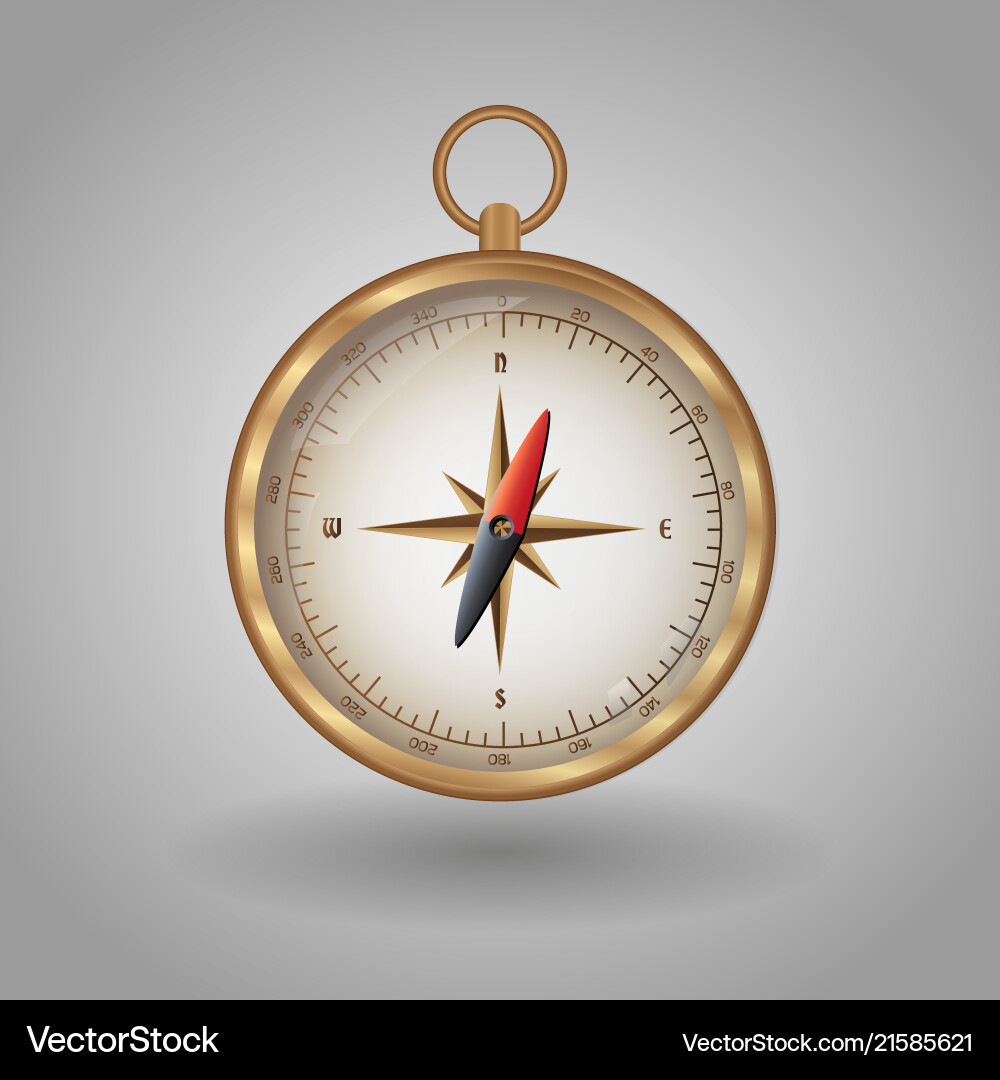 Navigation Compass Map Vector Image