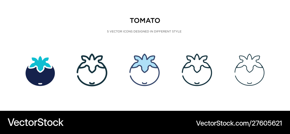 Tomato icon in different style two colored Vector Image
