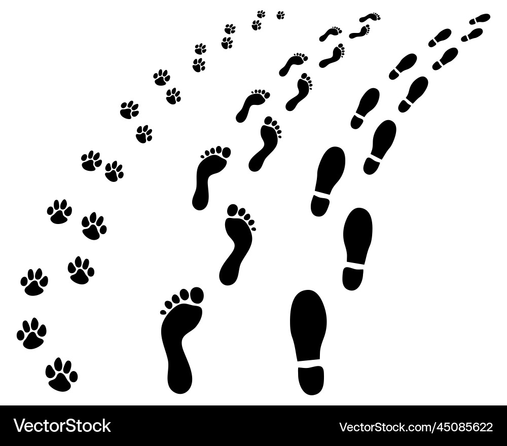 Animal Footprints - Man and Dog vector image