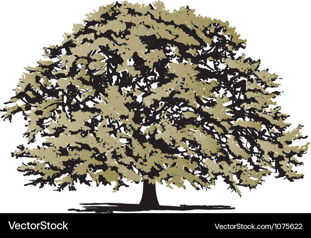Tree Profile Vector Realistic Tree Vector Images (over 41,000)