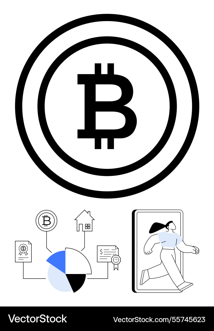 Bitcoin network and financial applications Bitcoin network and financial applications vector image