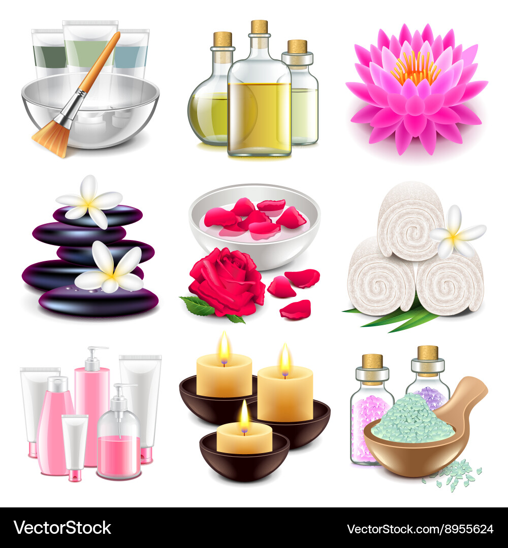 Spa icons set Royalty Free Vector Image - VectorStock