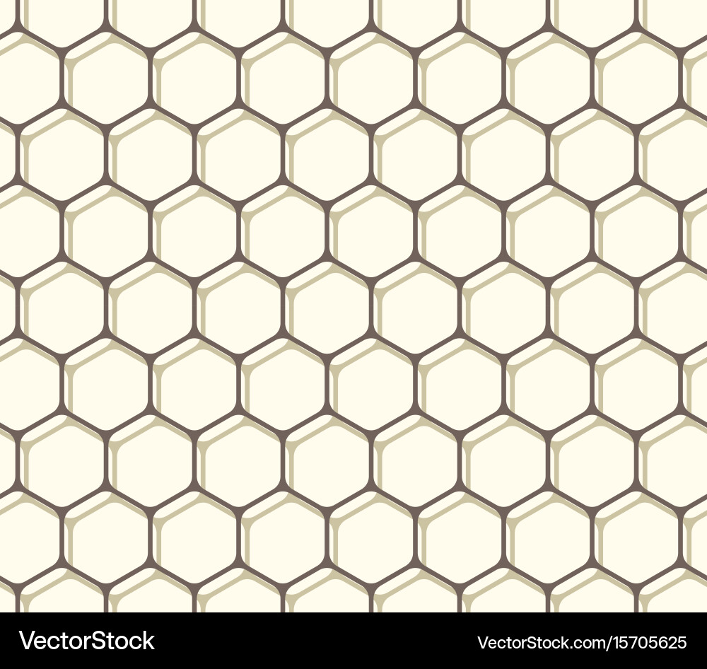 Hexagonal Geometric Pattern vector image
