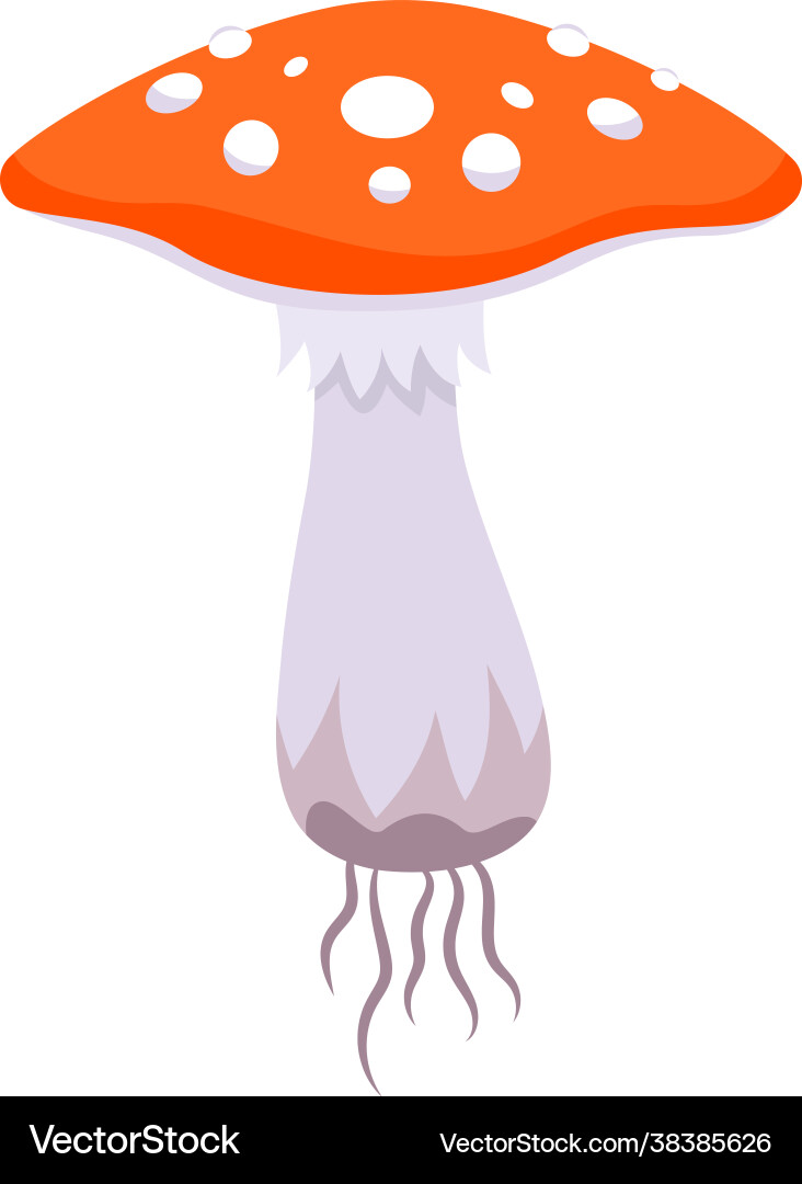 Fly Agaric Mushroom Icon Vector Image