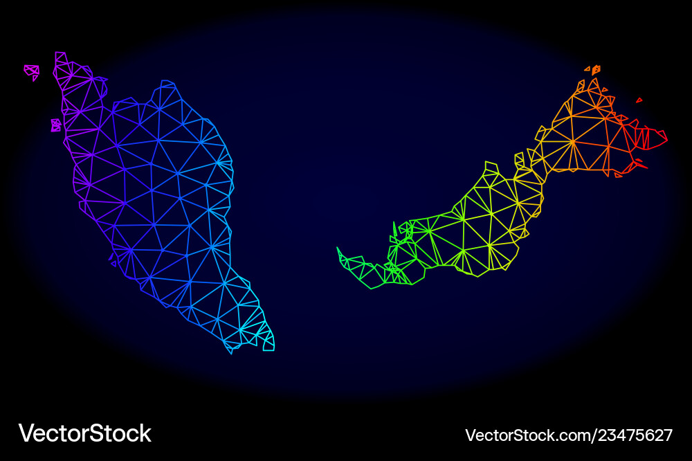 Polygonal network spectrum mesh map Vector Image