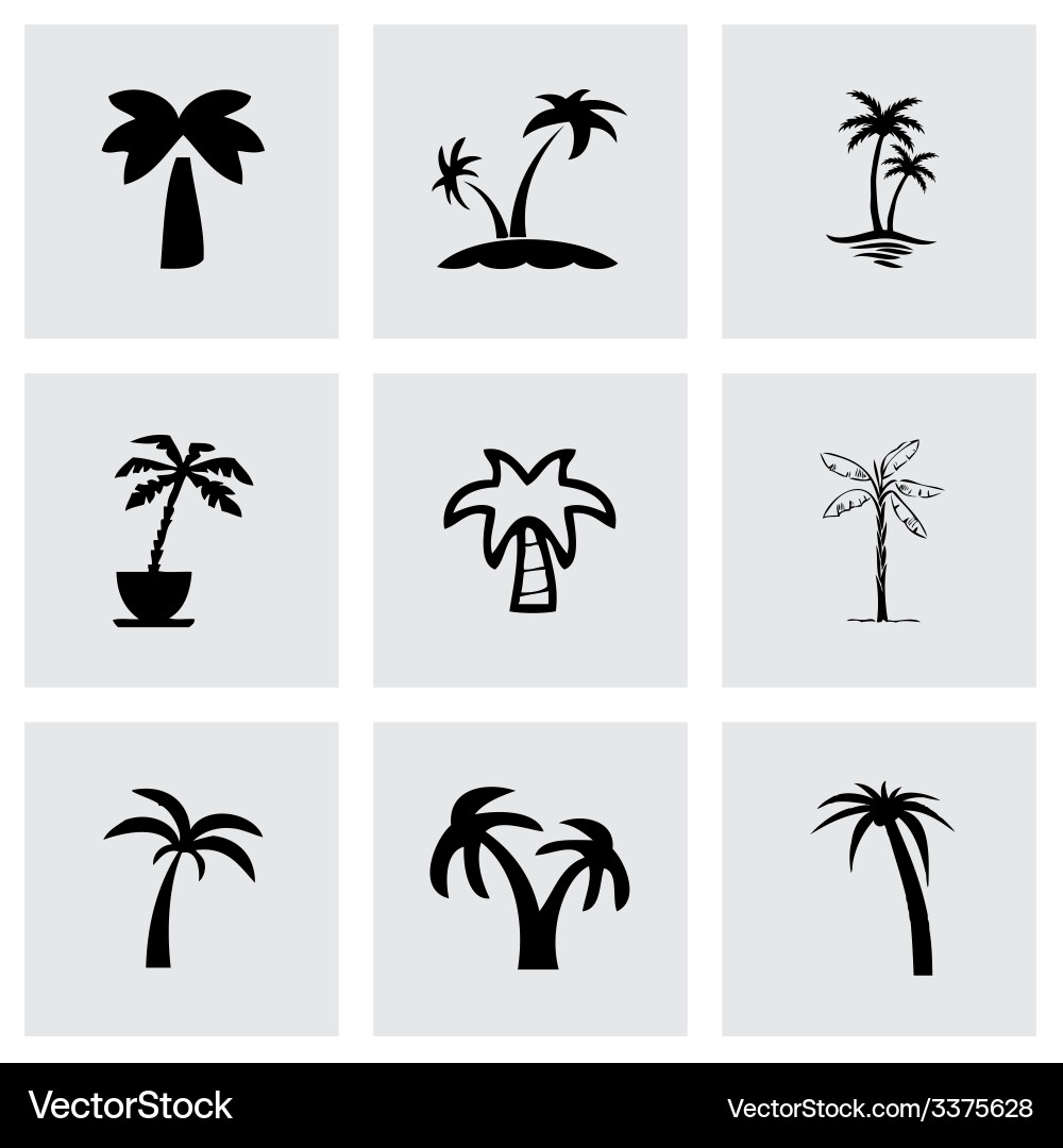 Palm icon set vector image