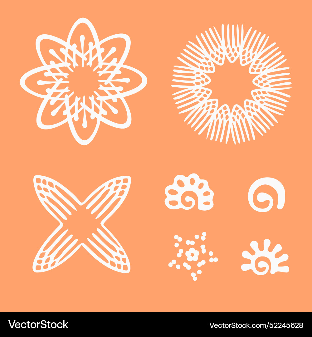 Peach fuzz botanical set texture motif Peach fuzz botanical set texture motif vector image