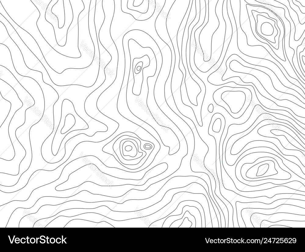 Abstract map pattern with wavy lines vector image