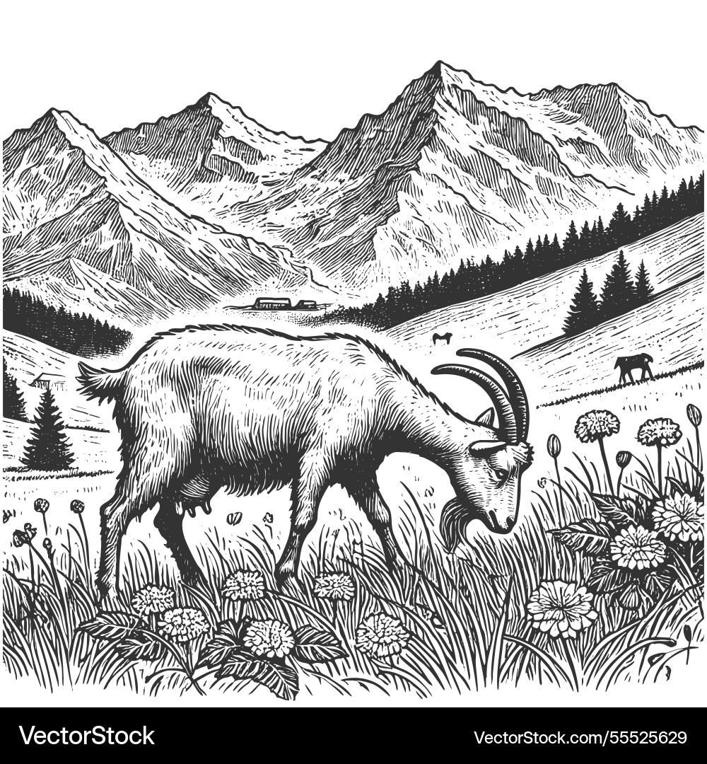 Goat in mountain landscape engraving Goat in mountain landscape engraving vector image