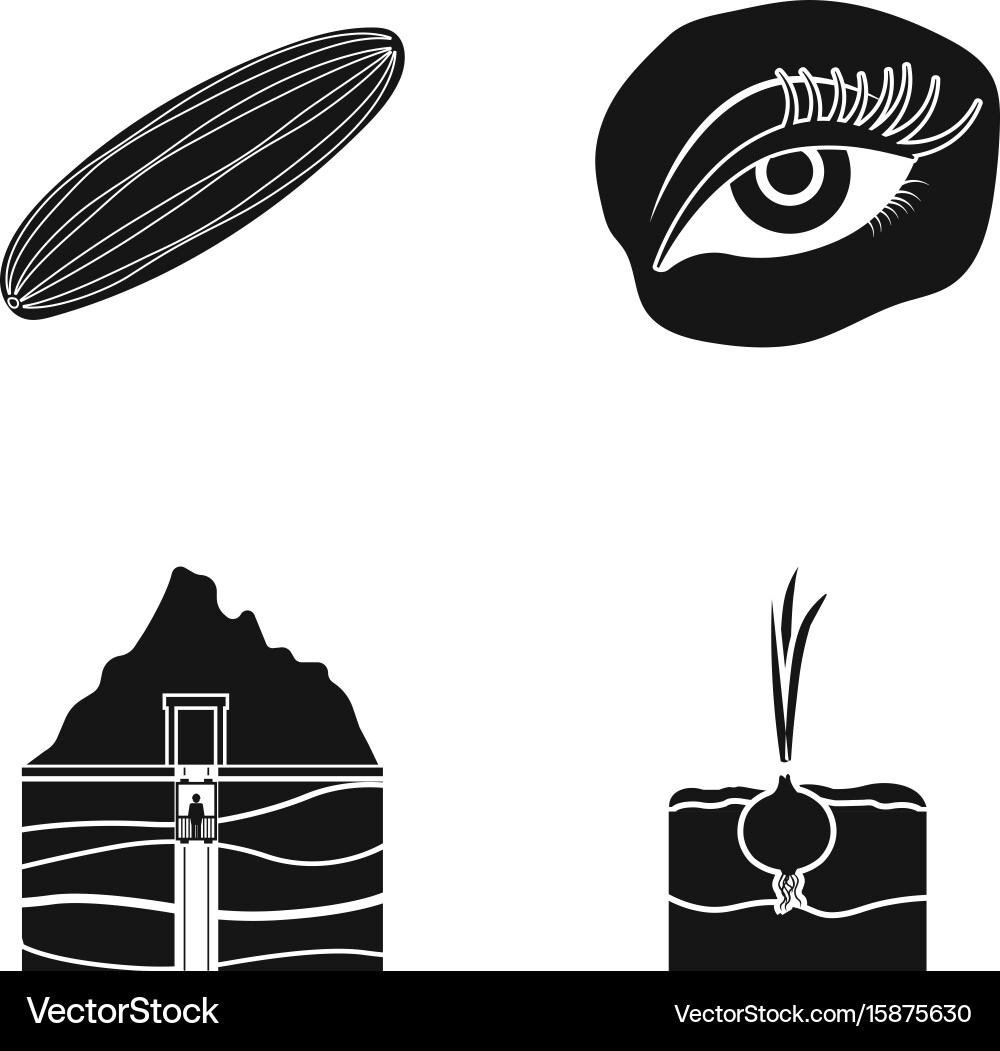 Cucumber onion and other web icon in black style Vector Image