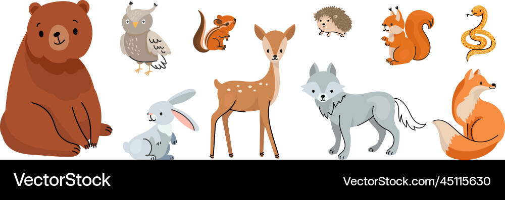Cute Woodland Animals Doodle Vector Image