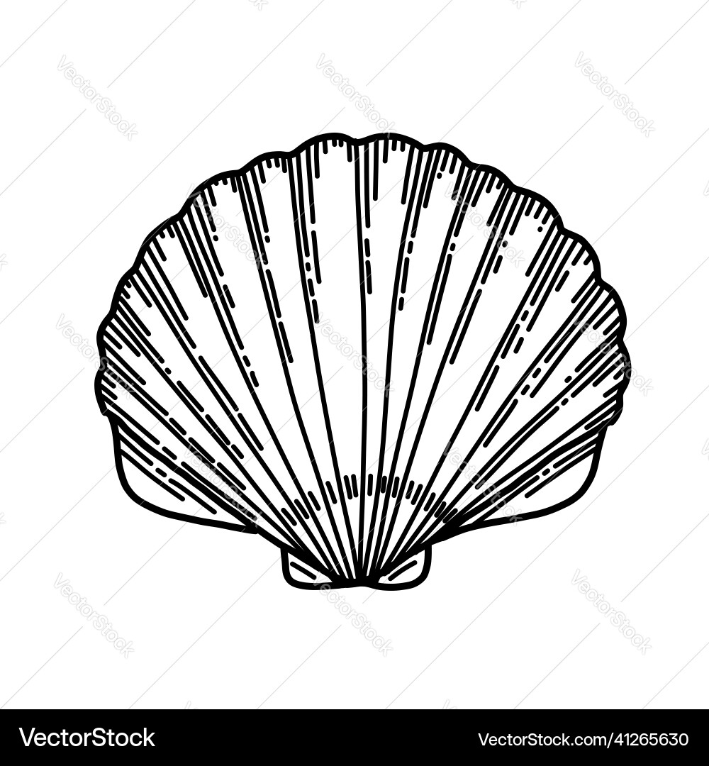 Shell in line art style Shell in line art style vector image