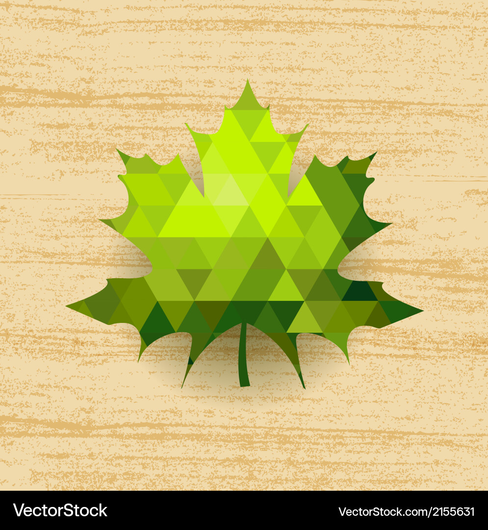 Green maple leaf Royalty Free Vector Image - VectorStock