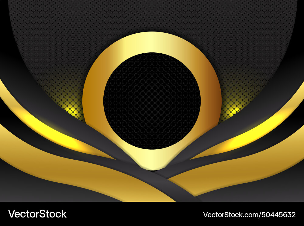 Abstract background ellipse shape with black Vector Image