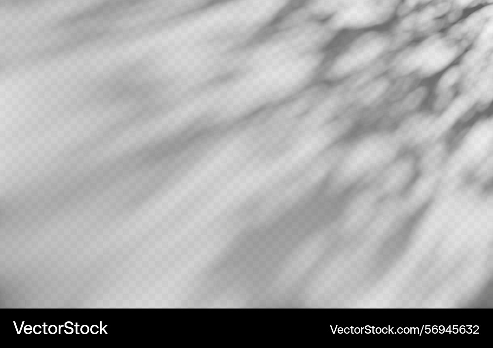 Abstract shadow overlay from tree branch Abstract shadow overlay from tree branch Vector Image