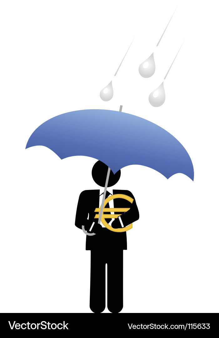 Financial Protection & Investment Safety Vector Image