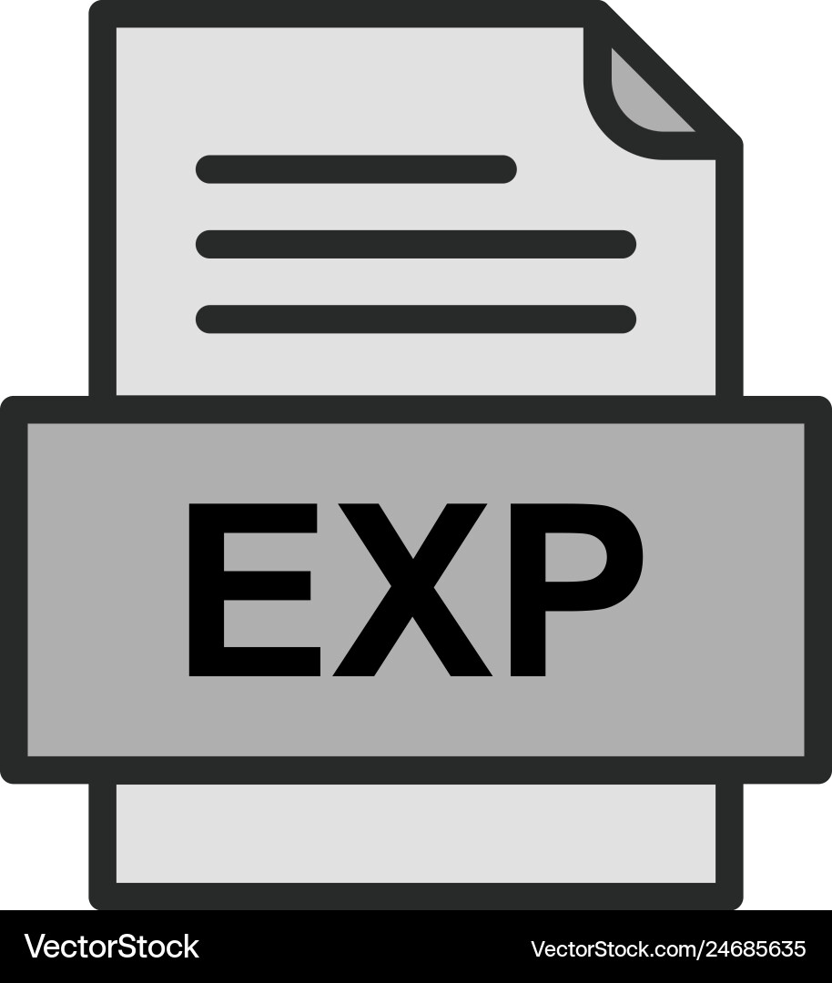 Exp file document icon Vector Image
