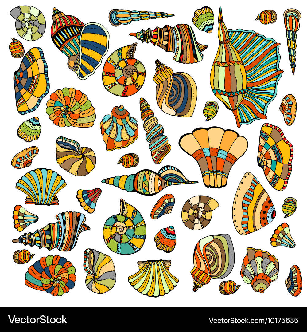 Seashell set collection Vector Image