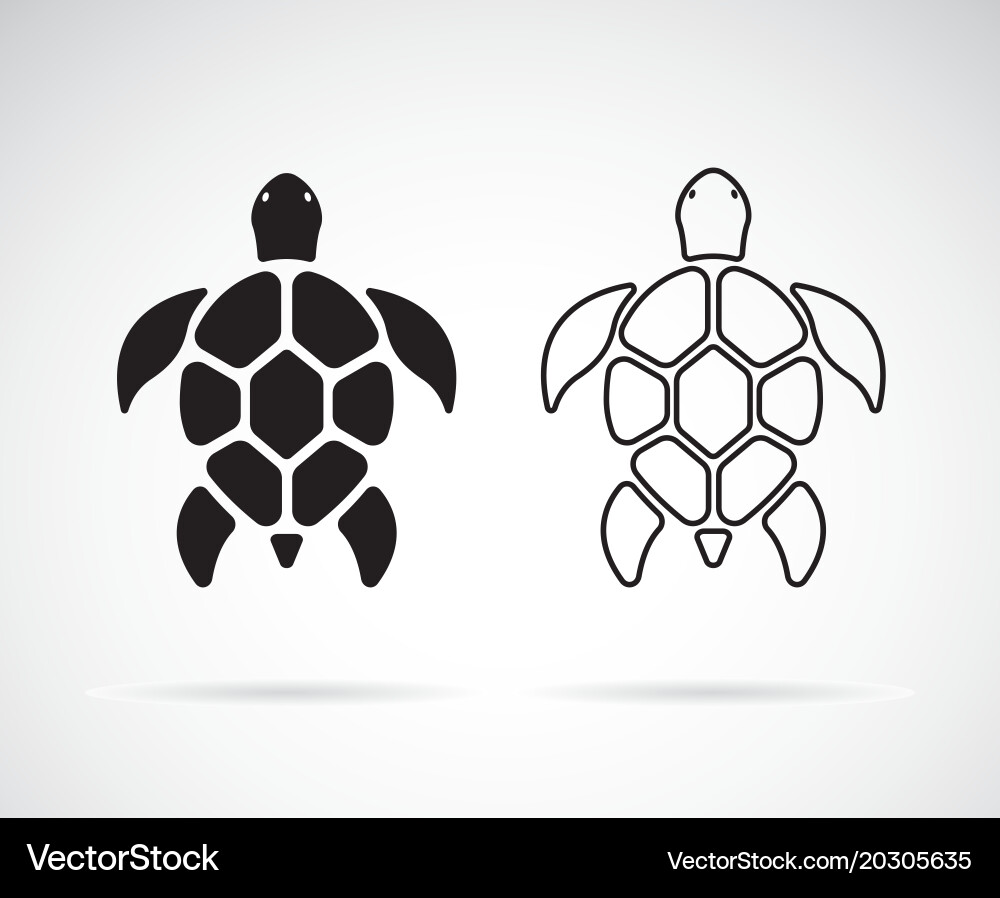 Turtle Icon Set - White Background Royalty Free Vector Image