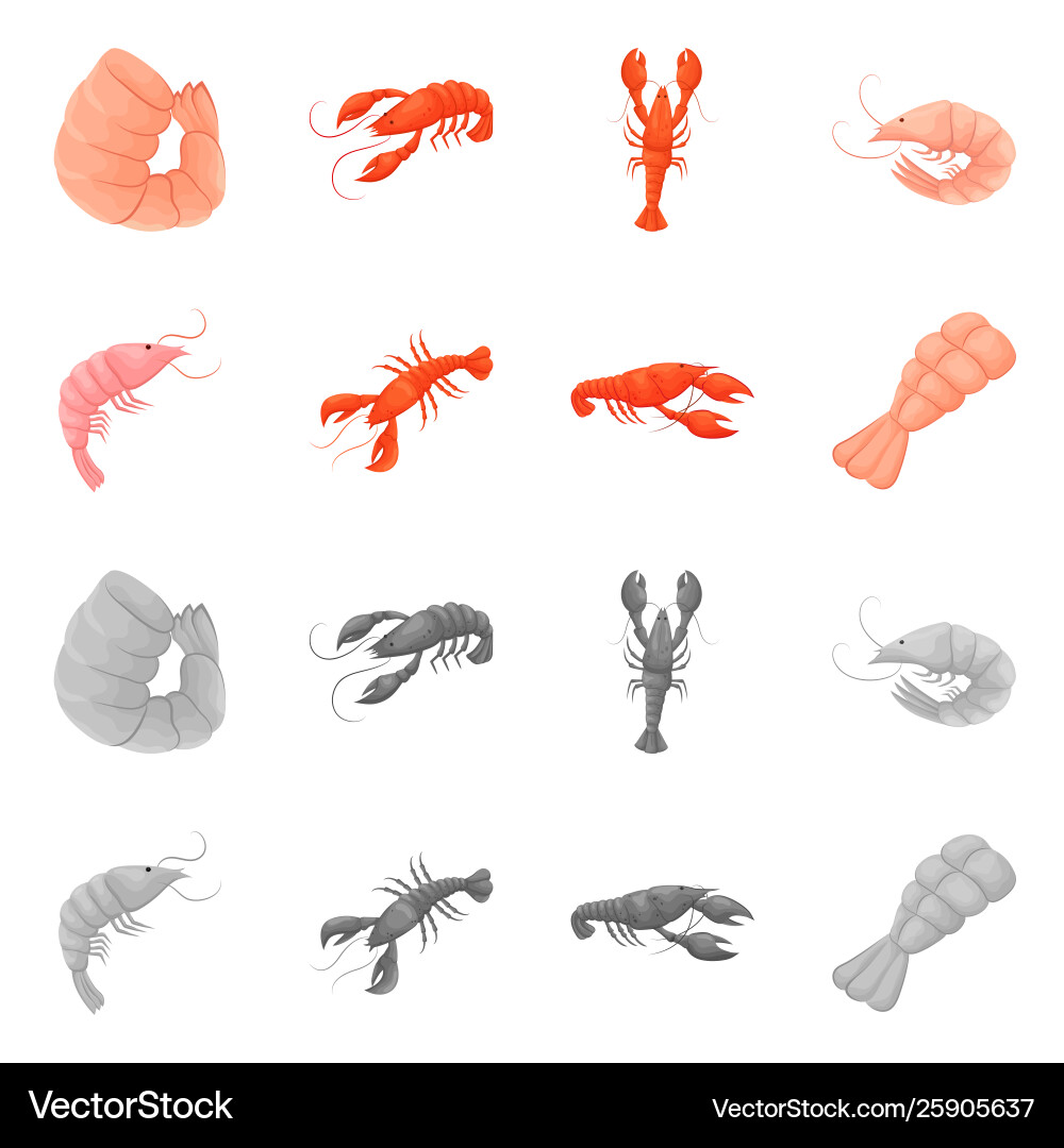 Isolated object appetizer and ocean symbol Vector Image