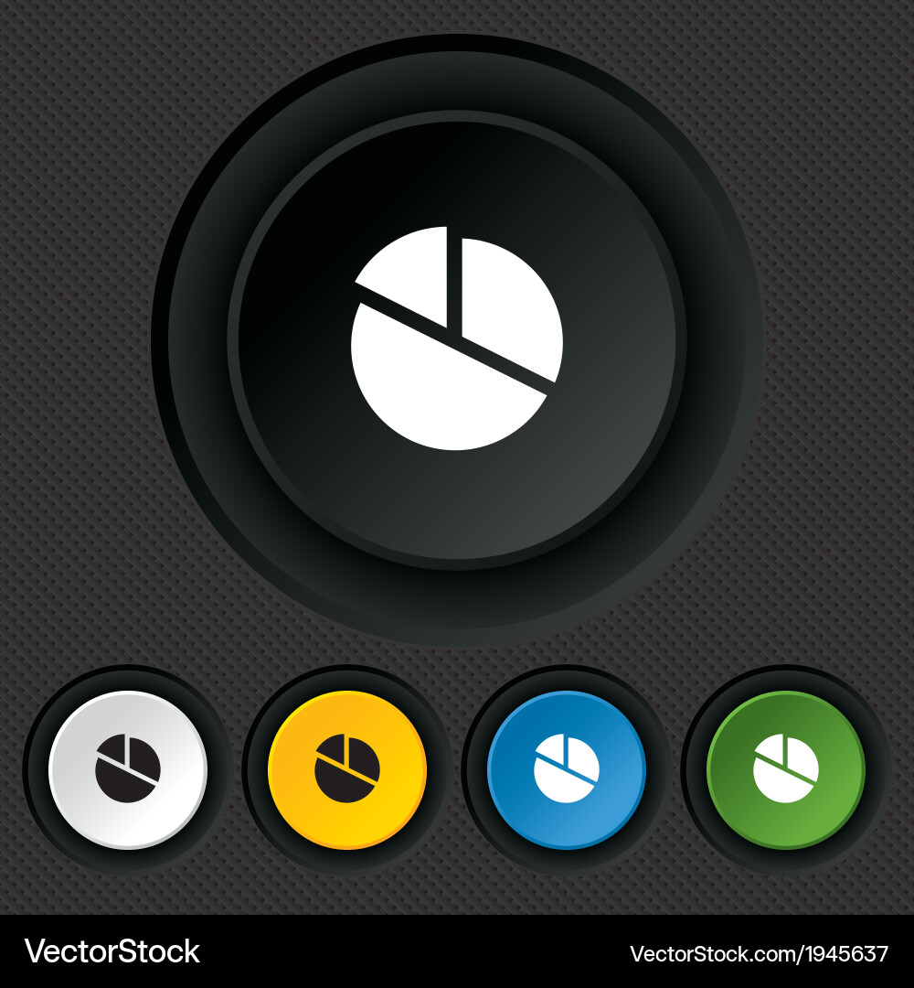 Pie chart graph sign icon diagram button Vector Image