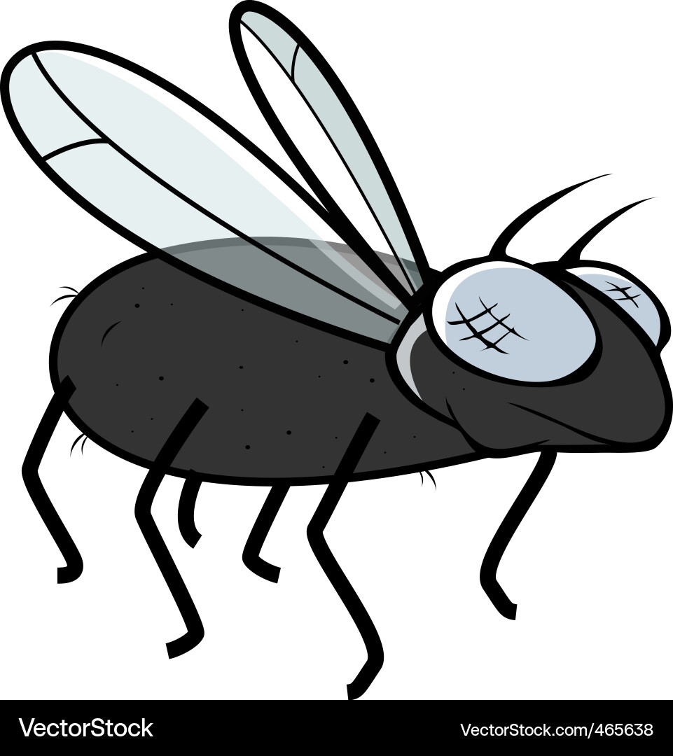 Cartoon Fly Vector Image