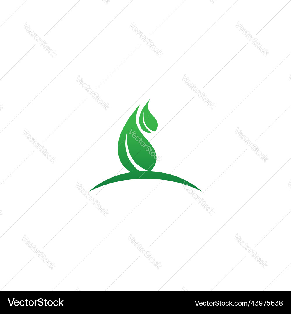 Green leaf nature organic logo vector image