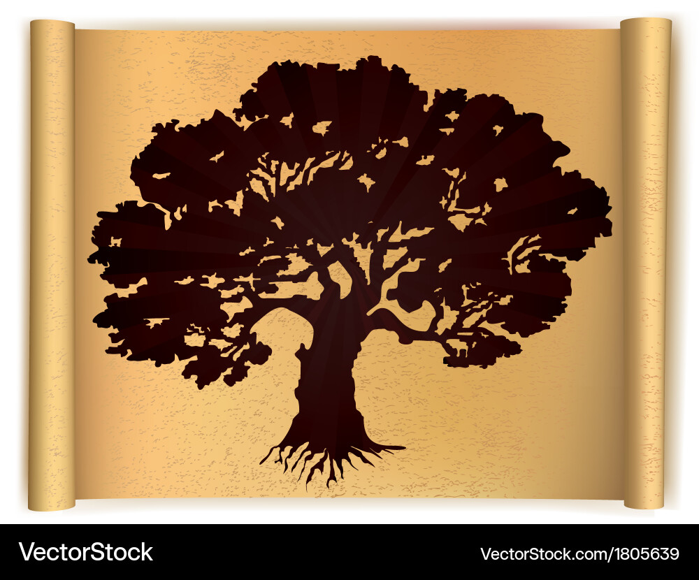 Ancient Tree on Scroll Paper vector image