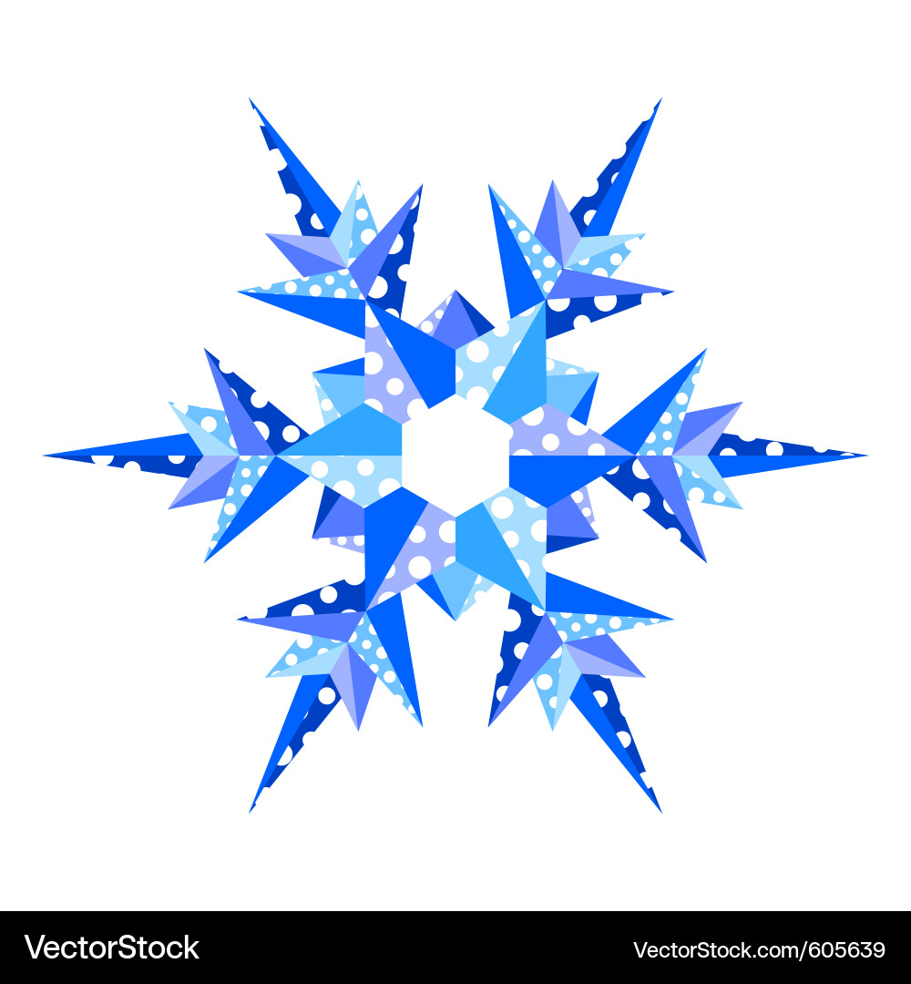Geometric Snowflake Pattern Vector Image