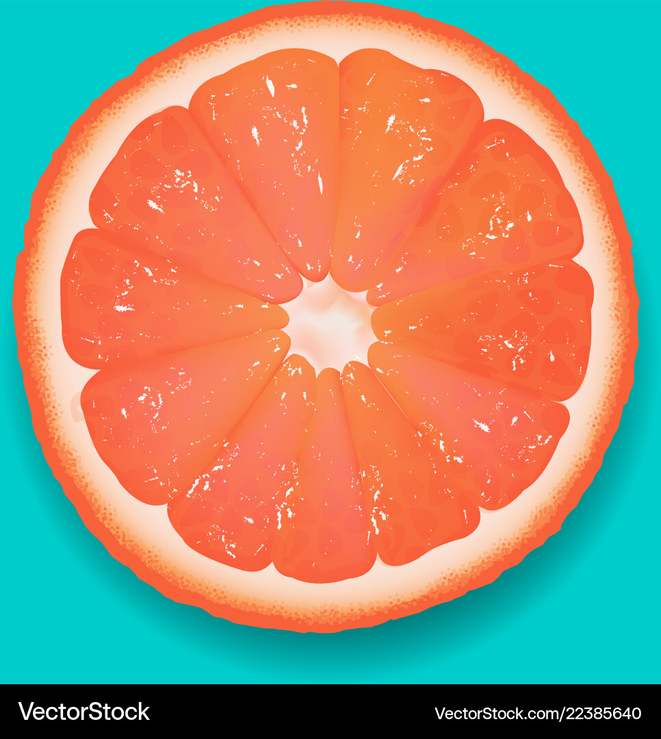 Grapefruit segment mint background Grapefruit segment mint background Vector Image
