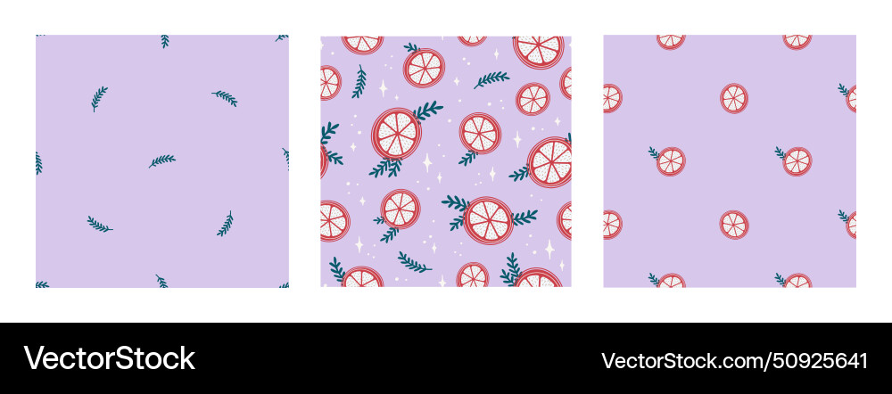 Seamless pattern set with orange slices branches vector image