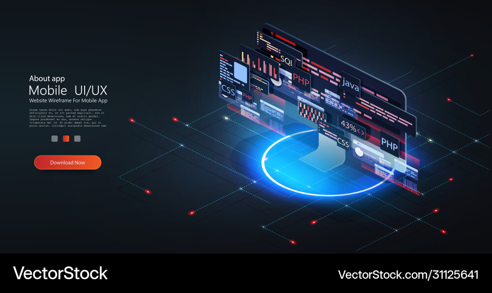 Technology & Programming Web Banner vector image