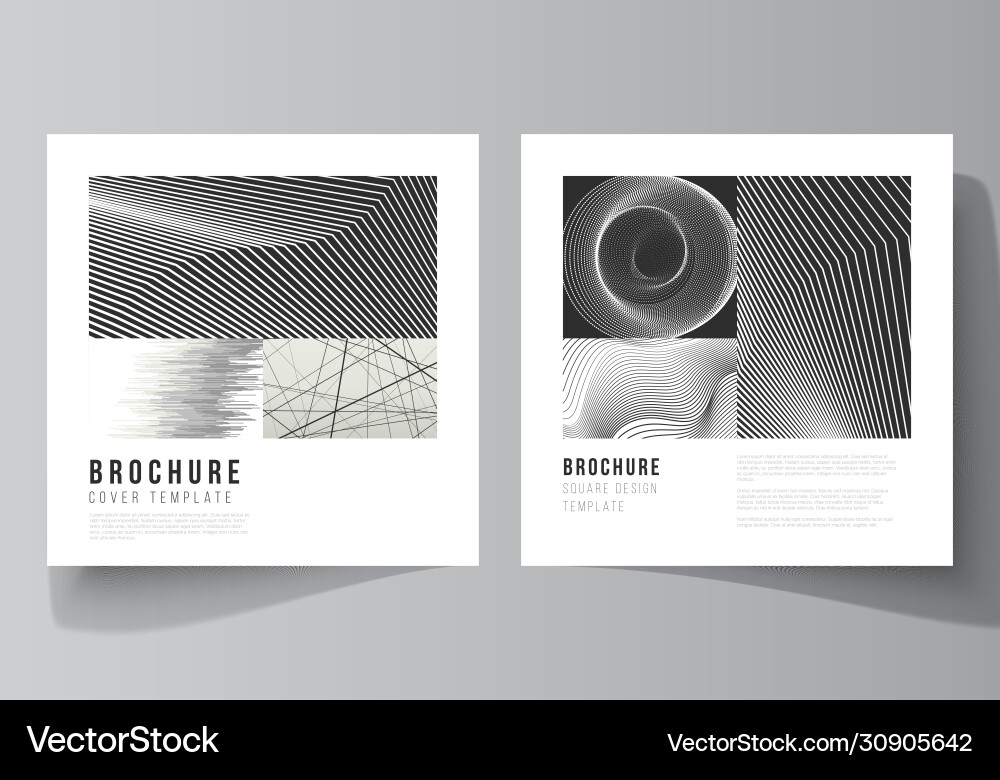 Minimal layout two square format Minimal layout two square format vector image