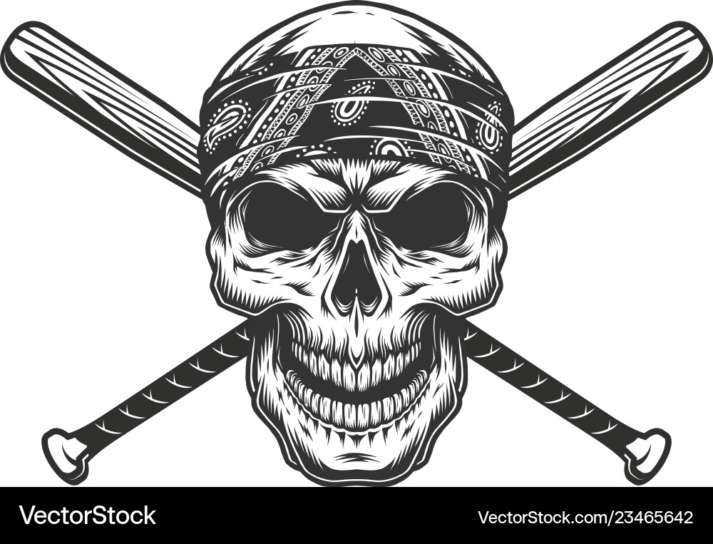 Monochrome Bandit Skull with Bats Vector Image