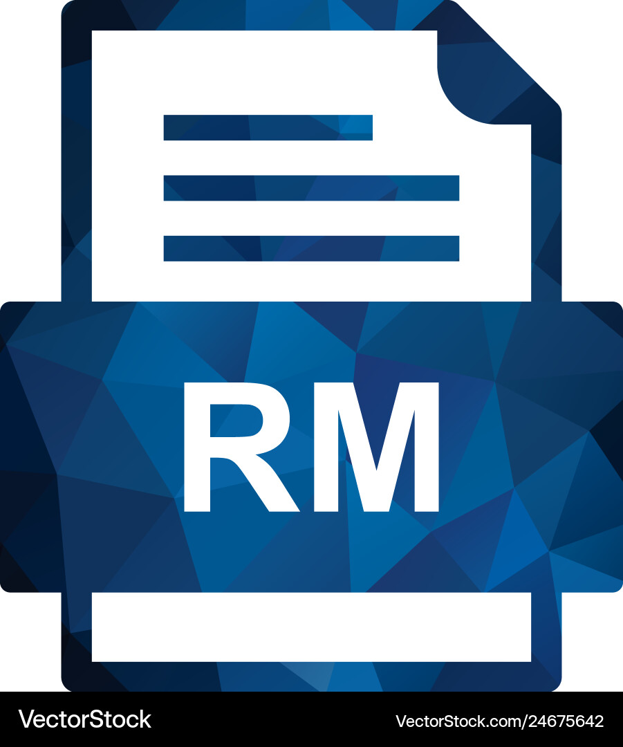 Rm file document icon Vector Image