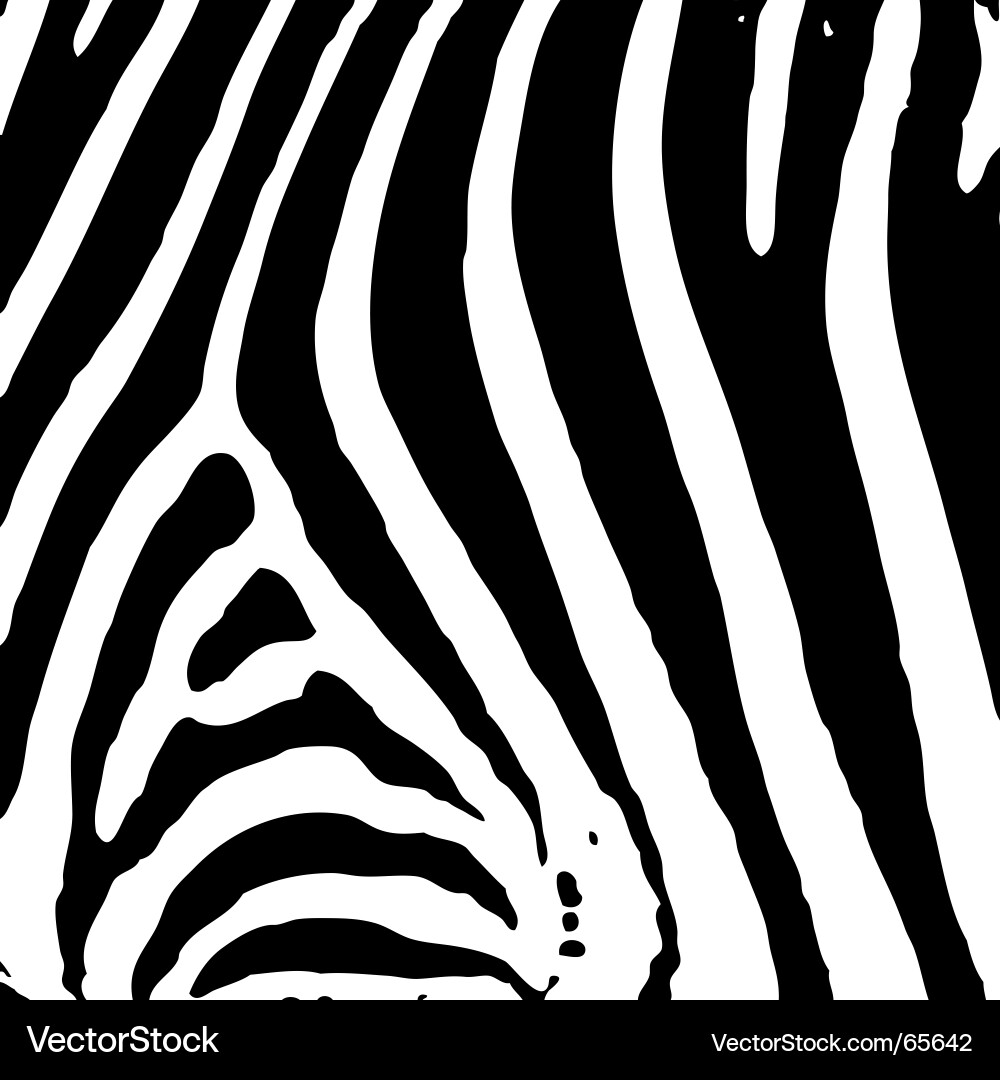 Zebra Print Background vector image