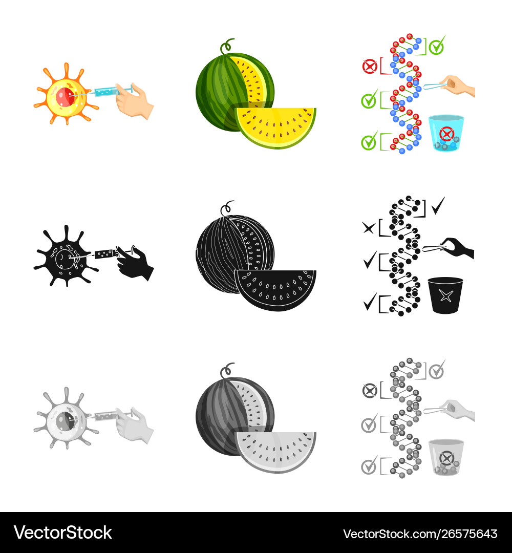 Isolated object test and synthetic icon Isolated object test and synthetic icon Vector Image