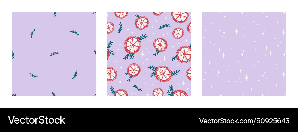 Seamless pattern set with orange slices branches Seamless pattern set with orange slices branches vector image